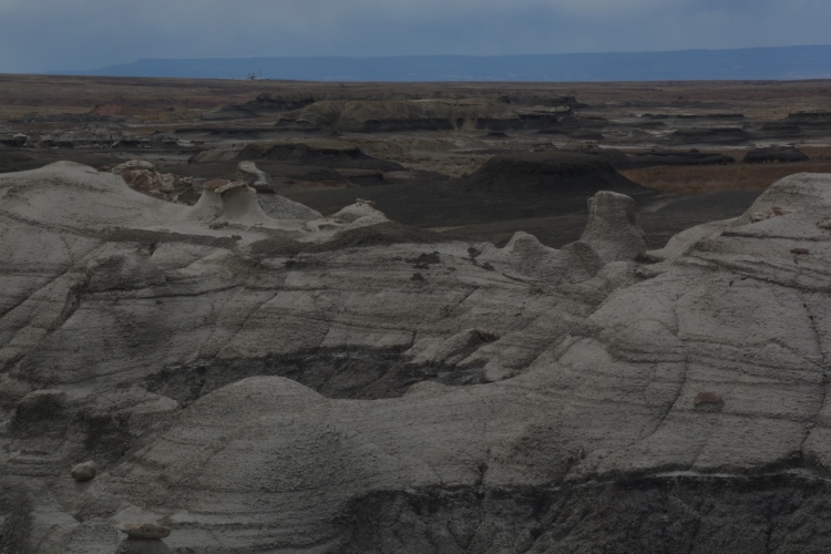 bisti wilderness